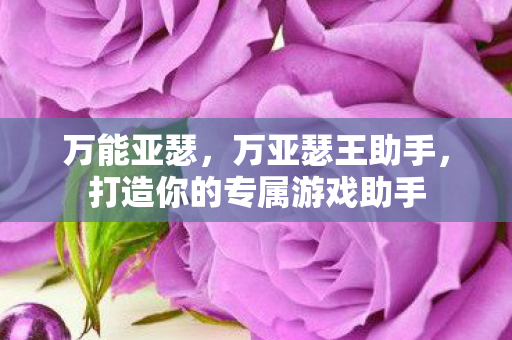 万能亚瑟,万亚瑟王助手,打造你的专属游戏助手 万能亚瑟,万亚瑟王助手,打造你的专属游戏助手