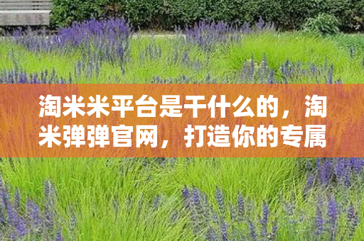 淘米米平台是干什么的,淘米弹弹官网,打造你的专属游戏世界 淘米米平台是干什么的,淘米弹弹官网,打造你的专属游戏世界