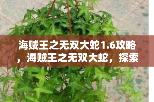 海贼王之无双大蛇1.6攻略,海贼王之无双大蛇,探索游戏世界的无限可能 海贼王之无双大蛇1.6攻略,海贼王之无双大蛇,探索游戏世界的无限可能