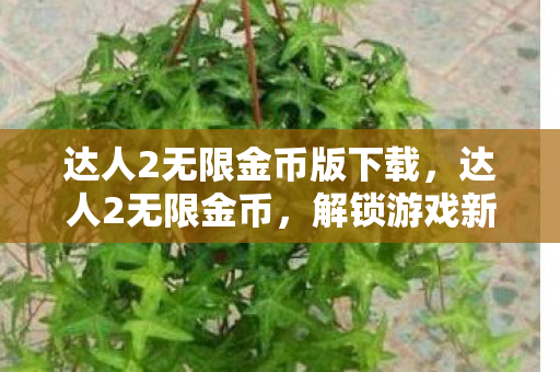 达人2无限金币版下载,达人2无限金币,解锁游戏新境界的秘诀 达人2无限金币版下载,达人2无限金币,解锁游戏新境界的秘诀