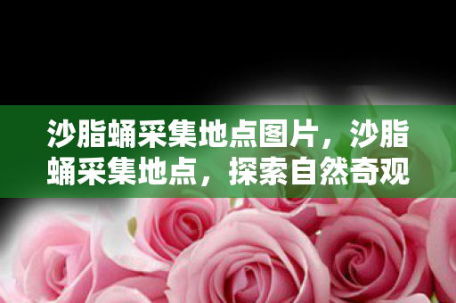 沙脂蛹采集地点图片，沙脂蛹采集地点，探索自然奇观，揭秘生态奥秘