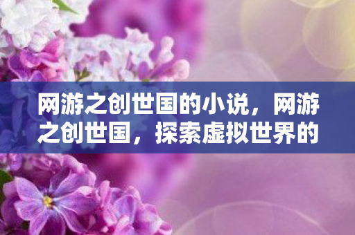 网游之创世国的小说，网游之创世国，探索虚拟世界的无限可能