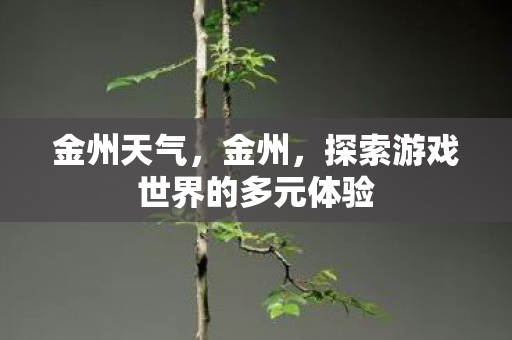 金州天气,金州,探索游戏世界的多元体验 金州天气,金州,探索游戏世界的多元体验