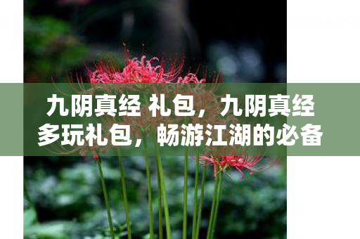 九阴真经 礼包,九阴真经多玩礼包,畅游江湖的必备神器 九阴真经 礼包,九阴真经多玩礼包,畅游江湖的必备神器