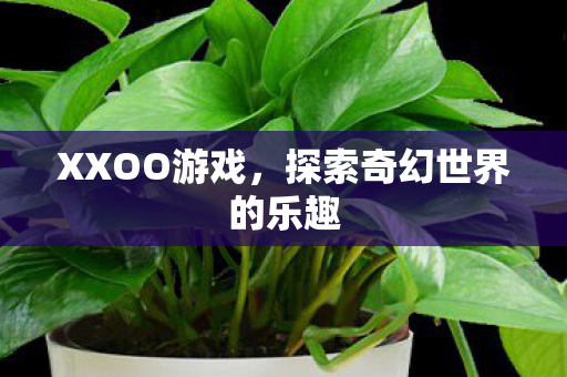 XXOO游戏,探索奇幻世界的乐趣 XXOO游戏,探索奇幻世界的乐趣