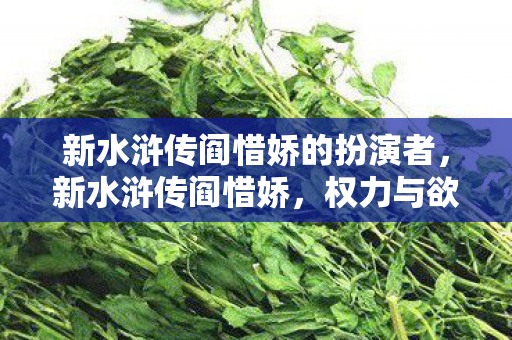 新水浒传阎惜娇的扮演者,新水浒传阎惜娇,权力与欲望的交织 新水浒传阎惜娇的扮演者,新水浒传阎惜娇,权力与欲望的交织