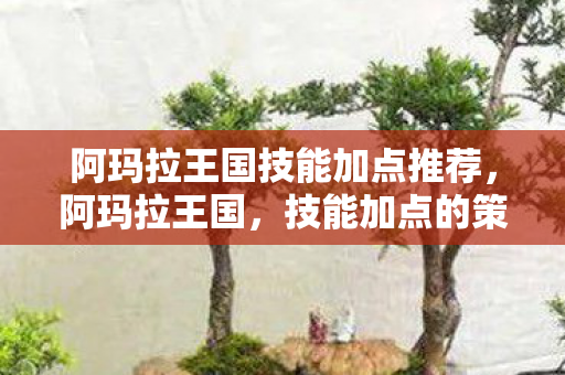 阿玛拉王国技能加点推荐，阿玛拉王国，技能加点的策略与影响