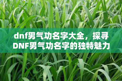 dnf男气功名字大全,探寻DNF男气功名字的独特魅力 dnf男气功名字大全,探寻DNF男气功名字的独特魅力