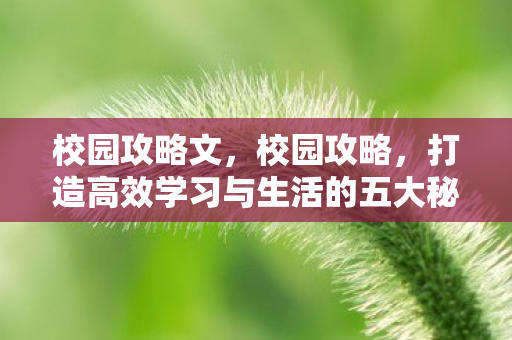 校园攻略文，校园攻略，打造高效学习与生活的五大秘籍