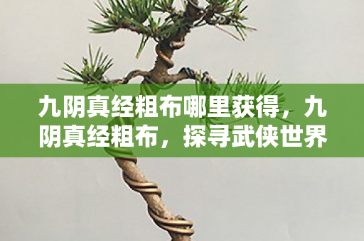 九阴真经粗布哪里获得,九阴真经粗布,探寻武侠世界的独特魅力 九阴真经粗布哪里获得,九阴真经粗布,探寻武侠世界的独特魅力