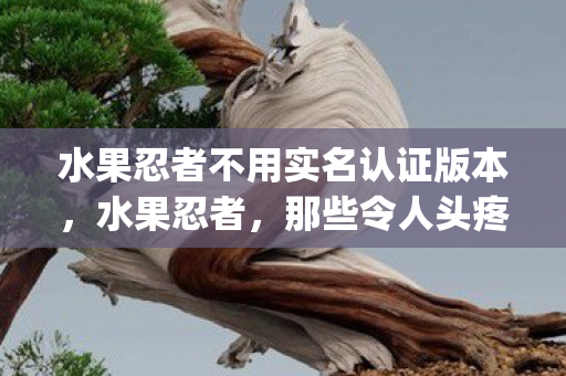 水果忍者不用实名认证版本，水果忍者，那些令人头疼的bug