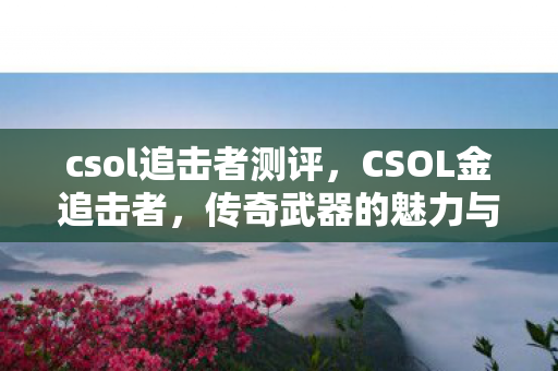 csol追击者测评，CSOL金追击者，传奇武器的魅力与游戏文化的深度探索