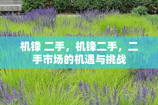 机锋 二手,机锋二手,二手市场的机遇与挑战 机锋 二手,机锋二手,二手市场的机遇与挑战