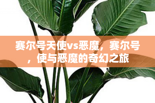 赛尔号天使vs恶魔，赛尔号，使与恶魔的奇幻之旅