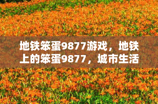 地铁笨蛋9877游戏,地铁上的笨蛋9877,城市生活的另类风景线 地铁笨蛋9877游戏,地铁上的笨蛋9877,城市生活的另类风景线