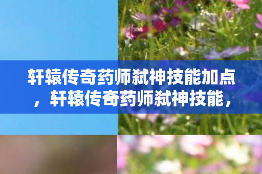 轩辕传奇药师弑神技能加点,轩辕传奇药师弑神技能,掌握生死,逆转乾坤 轩辕传奇药师弑神技能加点,轩辕传奇药师弑神技能,掌握生死,逆转乾坤