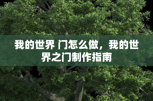我的世界 门怎么做,我的世界之门制作指南 我的世界 门怎么做,我的世界之门制作指南