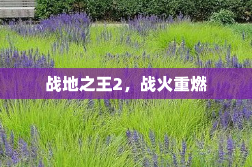 战地之王2,战火重燃 战地之王2,战火重燃