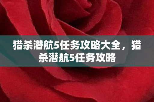 猎杀潜航5任务攻略大全,猎杀潜航5任务攻略 猎杀潜航5任务攻略大全,猎杀潜航5任务攻略