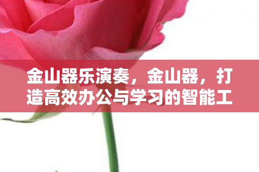 金山器乐演奏,金山器,打造高效办公与学习的智能工具 金山器乐演奏,金山器,打造高效办公与学习的智能工具