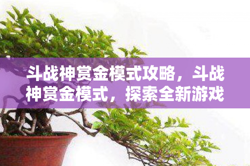 斗战神赏金模式攻略,斗战神赏金模式,探索全新游戏经济体系 斗战神赏金模式攻略,斗战神赏金模式,探索全新游戏经济体系