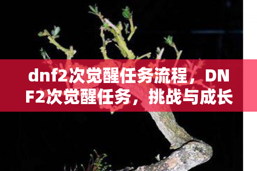 dnf2次觉醒任务流程,DNF2次觉醒任务,挑战与成长的新篇章 dnf2次觉醒任务流程,DNF2次觉醒任务,挑战与成长的新篇章
