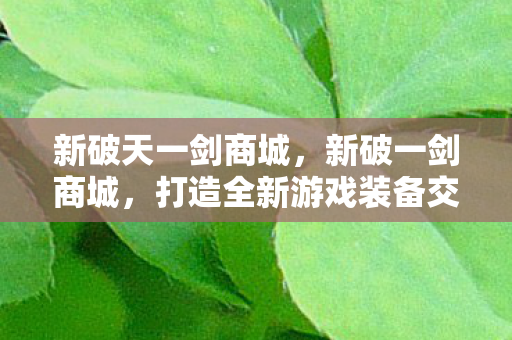 新破天一剑商城，新破一剑商城，打造全新游戏装备交易体验
