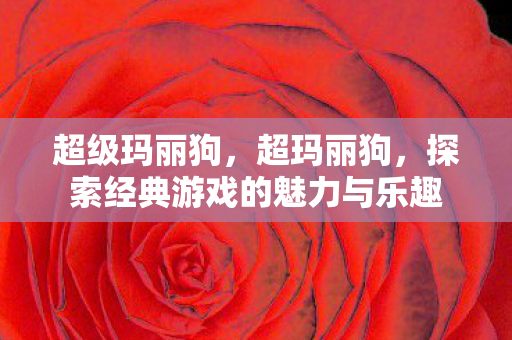 超级玛丽狗,超玛丽狗,探索经典游戏的魅力与乐趣 超级玛丽狗,超玛丽狗,探索经典游戏的魅力与乐趣