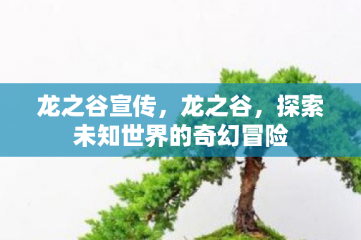 龙之谷宣传,龙之谷,探索未知世界的奇幻冒险 龙之谷宣传,龙之谷,探索未知世界的奇幻冒险