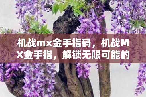 机战mx金手指码，机战MX金手指，解锁无限可能的战斗策略