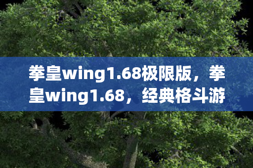 拳皇wing1.68极限版,拳皇wing1.68,经典格斗游戏的全新演绎 拳皇wing1.68极限版,拳皇wing1.68,经典格斗游戏的全新演绎