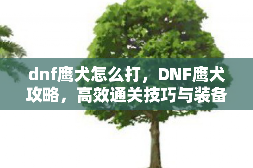 dnf鹰犬怎么打,DNF鹰犬攻略,高效通关技巧与装备建议 dnf鹰犬怎么打,DNF鹰犬攻略,高效通关技巧与装备建议