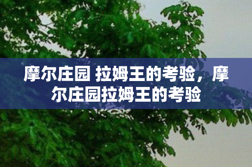 摩尔庄园 拉姆王的考验，摩尔庄园拉姆王的考验