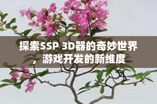 探索SSP 3D器的奇妙世界,游戏开发的新维度 探索SSP 3D器的奇妙世界,游戏开发的新维度