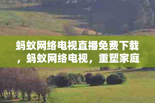 蚂蚁网络电视直播免费下载，蚂蚁网络电视，重塑家庭娱乐新体验
