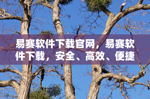 易赛软件下载官网,易赛软件下载,安全、高效、便捷的软件获取方式 易赛软件下载官网,易赛软件下载,安全、高效、便捷的软件获取方式
