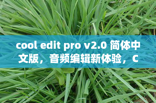 cool edit pro v2.0 简体中文版，音频编辑新体验，COOL EDIT PRO V2.1 简体中文版深度评测
