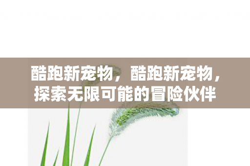 酷跑新宠物，酷跑新宠物，探索无限可能的冒险伙伴