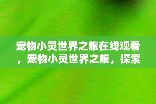 宠物小灵世界之旅在线观看，宠物小灵世界之旅，探索奇幻世界的奇妙旅程