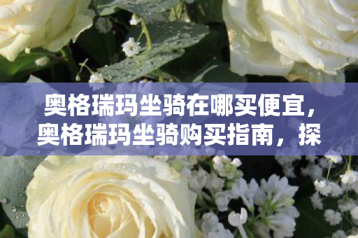 奥格瑞玛坐骑在哪买便宜，奥格瑞玛坐骑购买指南，探索官方购买渠道与选择