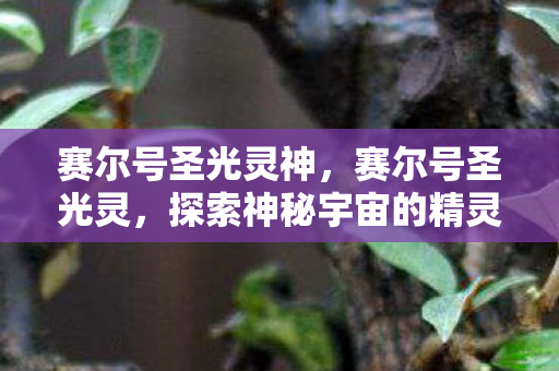 赛尔号圣光灵神,赛尔号圣光灵,探索神秘宇宙的精灵之旅 赛尔号圣光灵神,赛尔号圣光灵,探索神秘宇宙的精灵之旅