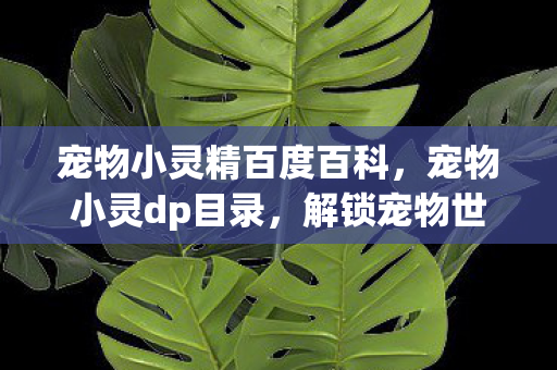 宠物小灵精百度百科，宠物小灵dp目录，解锁宠物世界的奇妙之旅