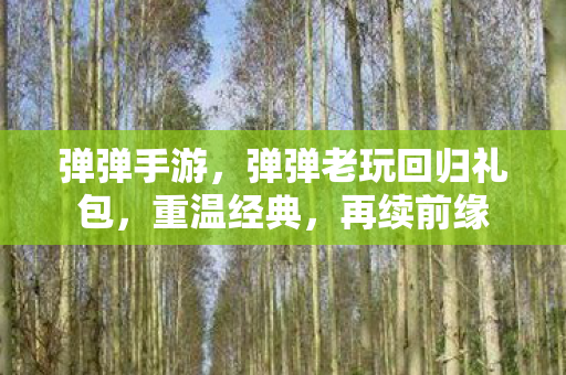 弹弹手游，弹弹老玩回归礼包，重温经典，再续前缘