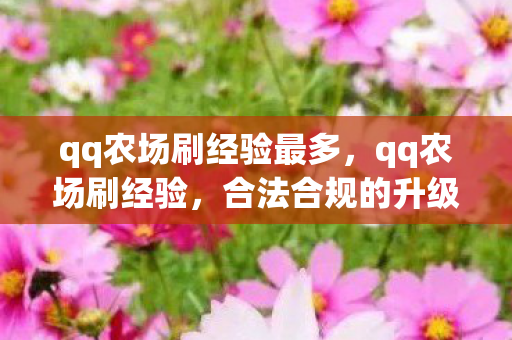 qq农场刷经验最多,qq农场刷经验,合法合规的升级攻略 qq农场刷经验最多,qq农场刷经验,合法合规的升级攻略