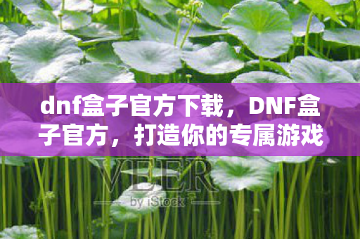 dnf盒子官方下载,DNF盒子官方,打造你的专属游戏乐园 dnf盒子官方下载,DNF盒子官方,打造你的专属游戏乐园