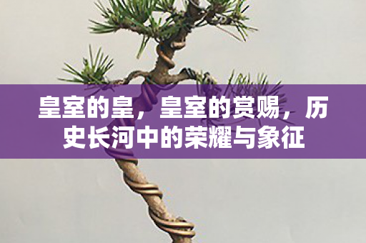皇室的皇,皇室的赏赐,历史长河中的荣耀与象征 皇室的皇,皇室的赏赐,历史长河中的荣耀与象征