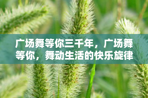 广场舞等你三千年,广场舞等你,舞动生活的快乐旋律 广场舞等你三千年,广场舞等你,舞动生活的快乐旋律