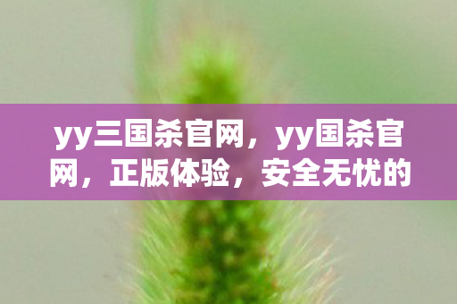 yy三国杀官网,yy国杀官网,正版体验,安全无忧的娱乐新选择 yy三国杀官网,yy国杀官网,正版体验,安全无忧的娱乐新选择