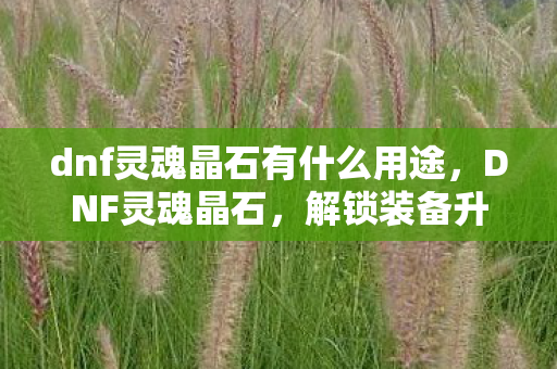 dnf灵魂晶石有什么用途,DNF灵魂晶石,解锁装备升级与强化的神秘钥匙 dnf灵魂晶石有什么用途,DNF灵魂晶石,解锁装备升级与强化的神秘钥匙