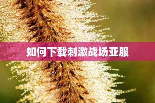 如何下载刺激战场亚服 如何下载刺激战场亚服